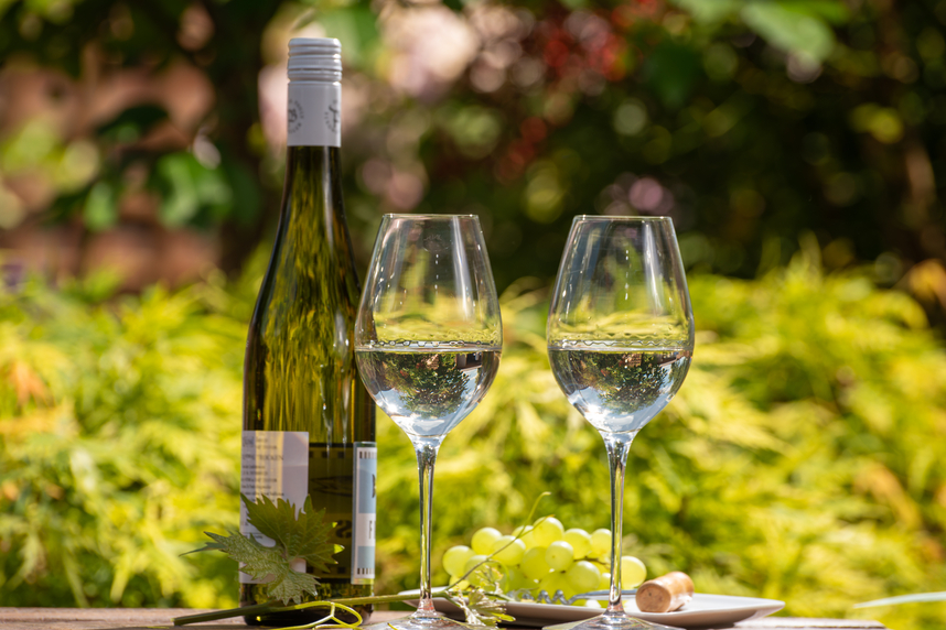 Guide to New Zealand Wines: regions, grape varieties and top picks